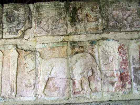 yuc105.jpg