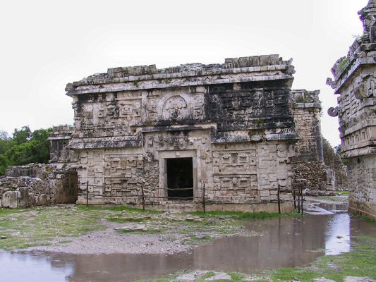 yuc123.jpg