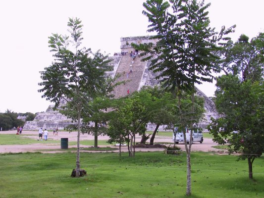 yuc83.jpg