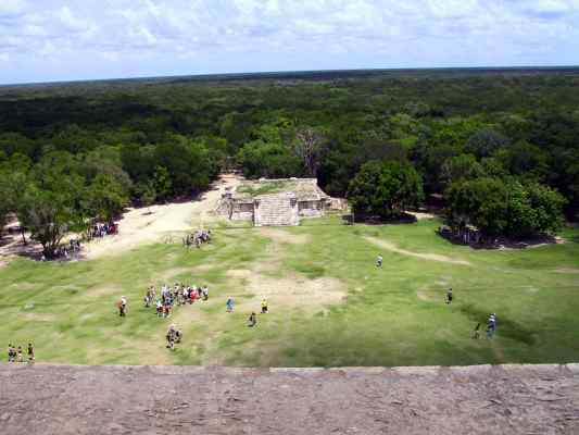 yuc87.jpg